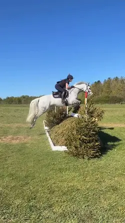 smooth slomotion