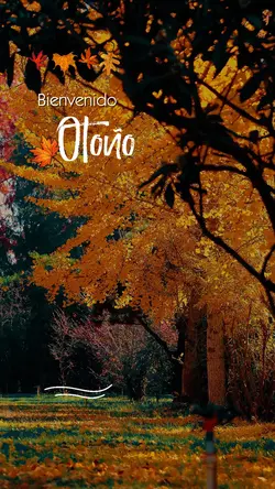 Bienvenido Otoño