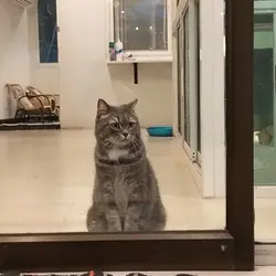 วันขอบคุณพระเจ้า