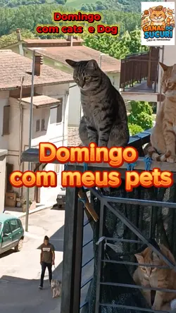 Domingo com catDog