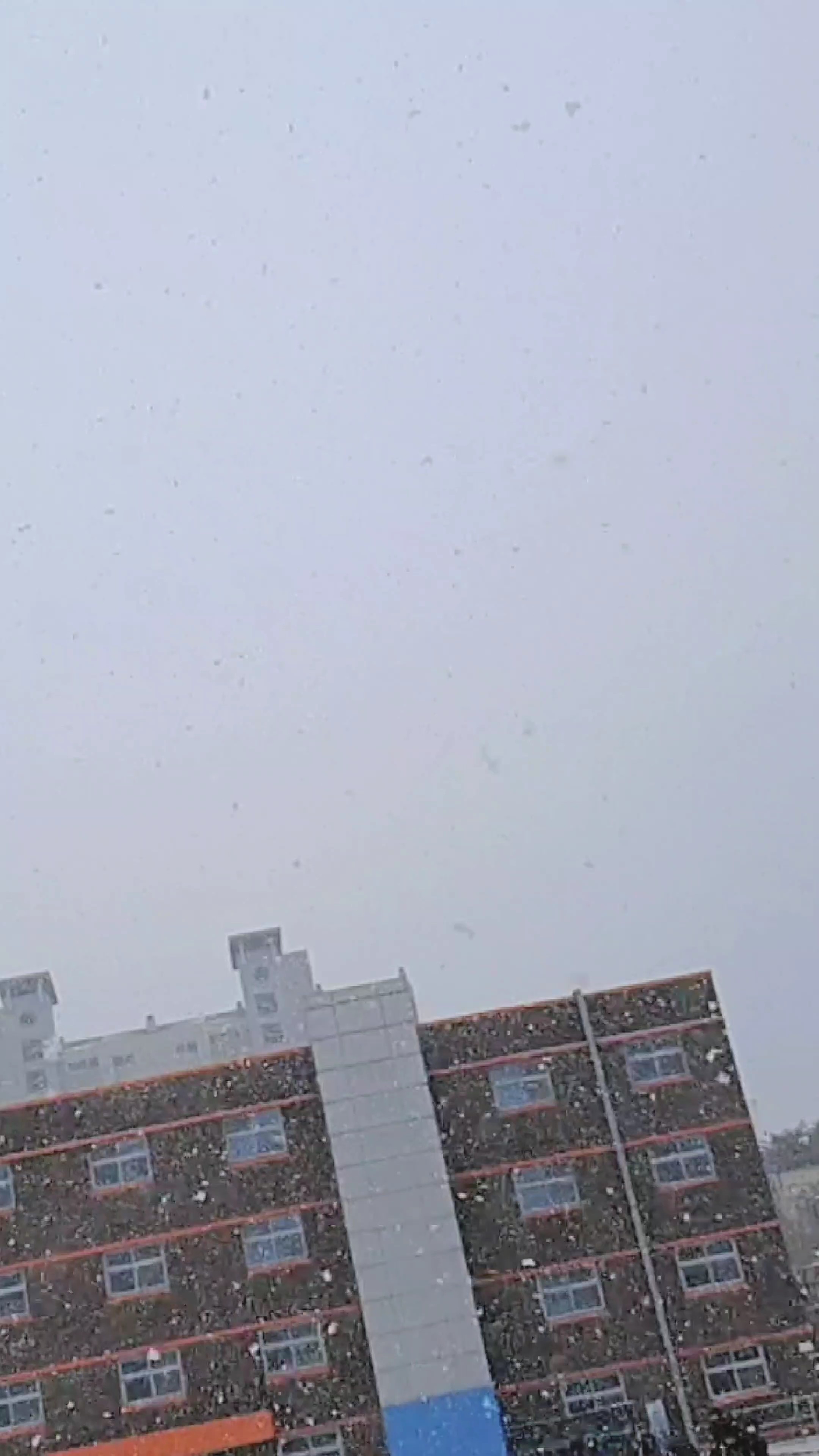 겨울 느낌 나는 템플릿