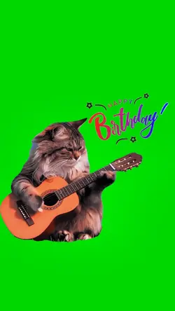 Guitar Cat Birthday