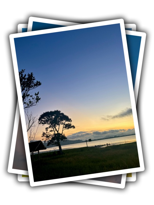 Cover Picture