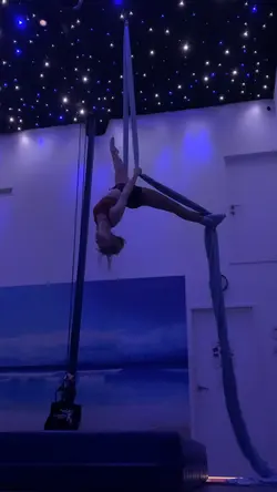 Aerial Silks