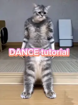 DANCE tutorial 写真1枚