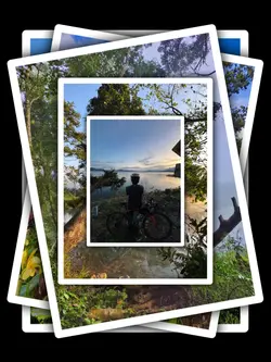 5Pic Trend Aesthetic