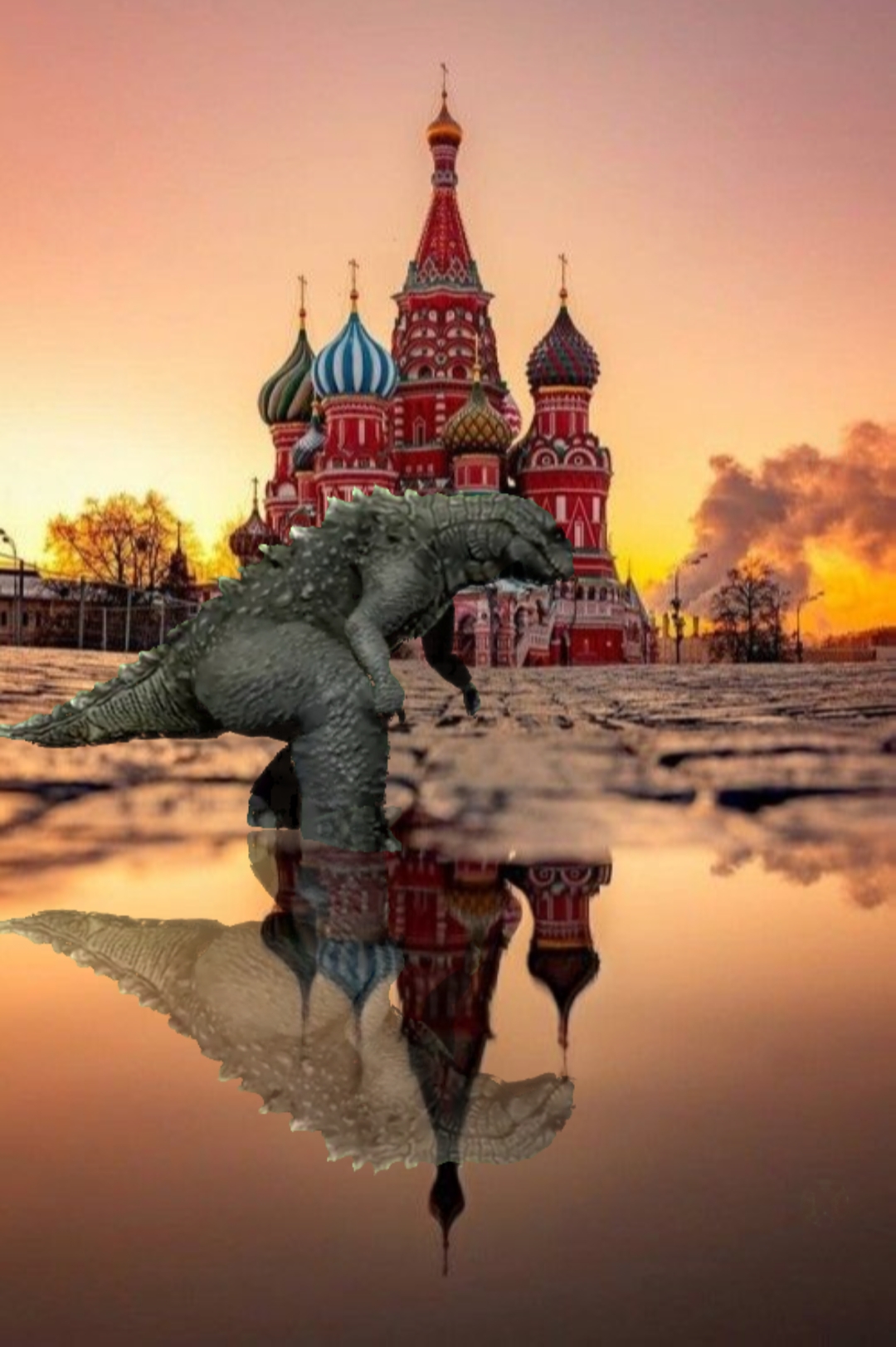 Cover Picture