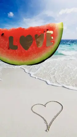 マリーゴールド 写真1枚