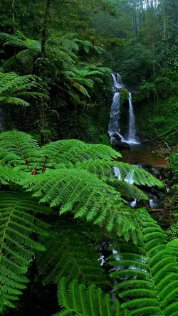 nature vibes estetic