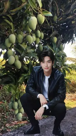 dibawah pohon mangga