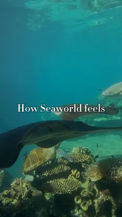 Seaworld <3
