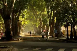 1 ảnh thanh xuân 
