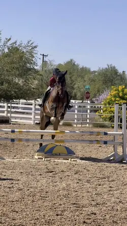 Trending edit🔥❤️FAKE‼️