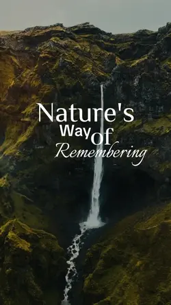 Nature Way Remember 