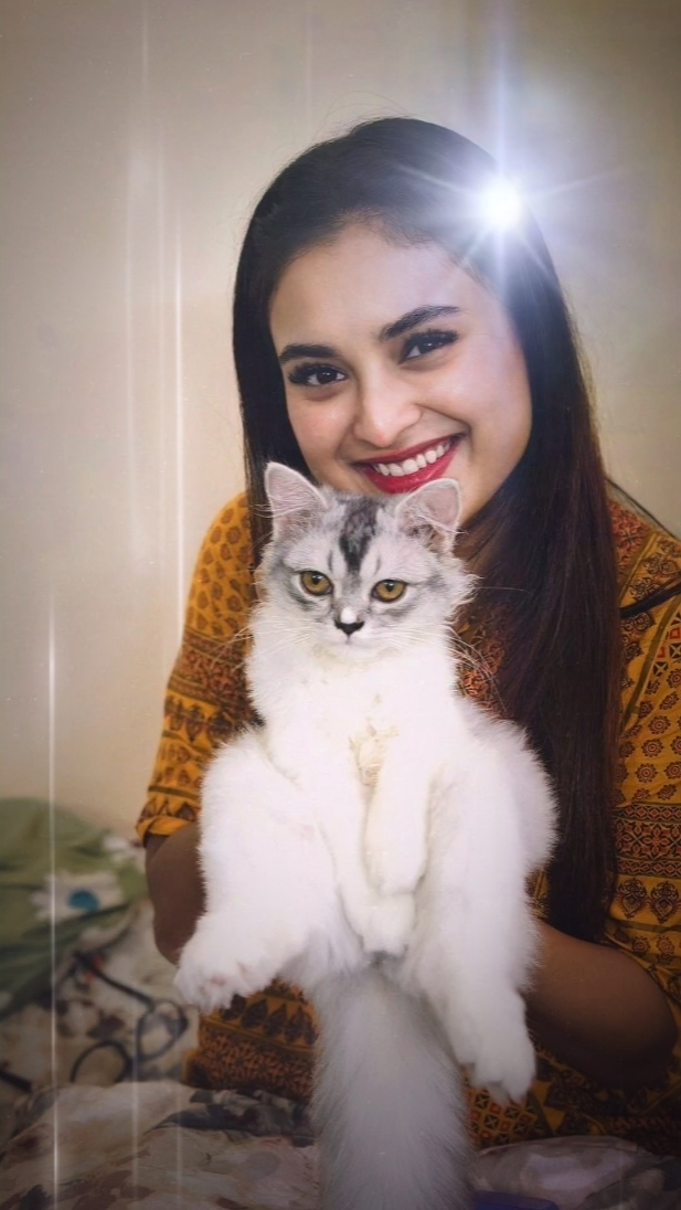 NOVA CRIADORA