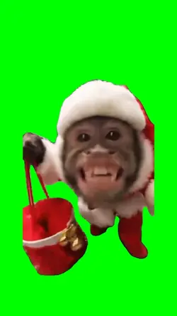 Merry Xmas Monkey 