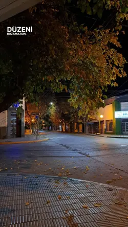 Düzeni bozamazsın...