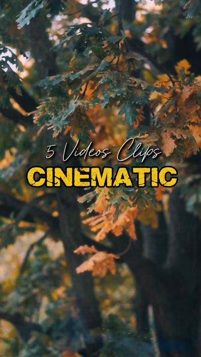 Cinematic 5 Videos 