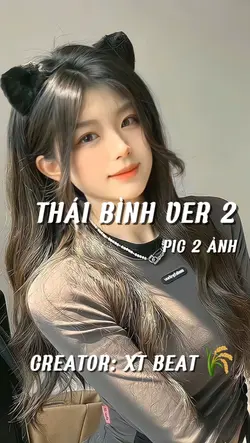 mẫu Thái Bình ver 2