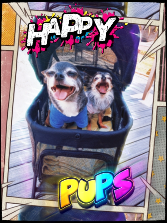 Cachorros felices