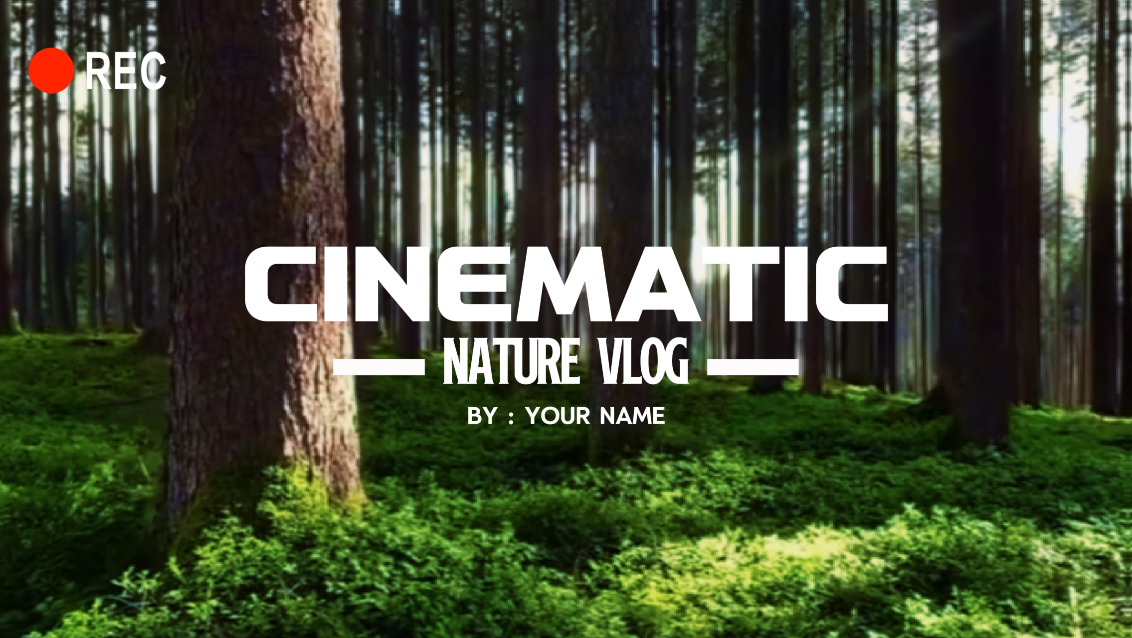 CINÉMATIQUE NATURE