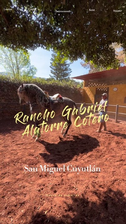 Caballos