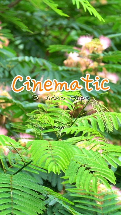 CInematic 3 video