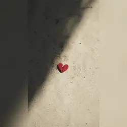 Seguimi al tramonto: il reveal che sorprende