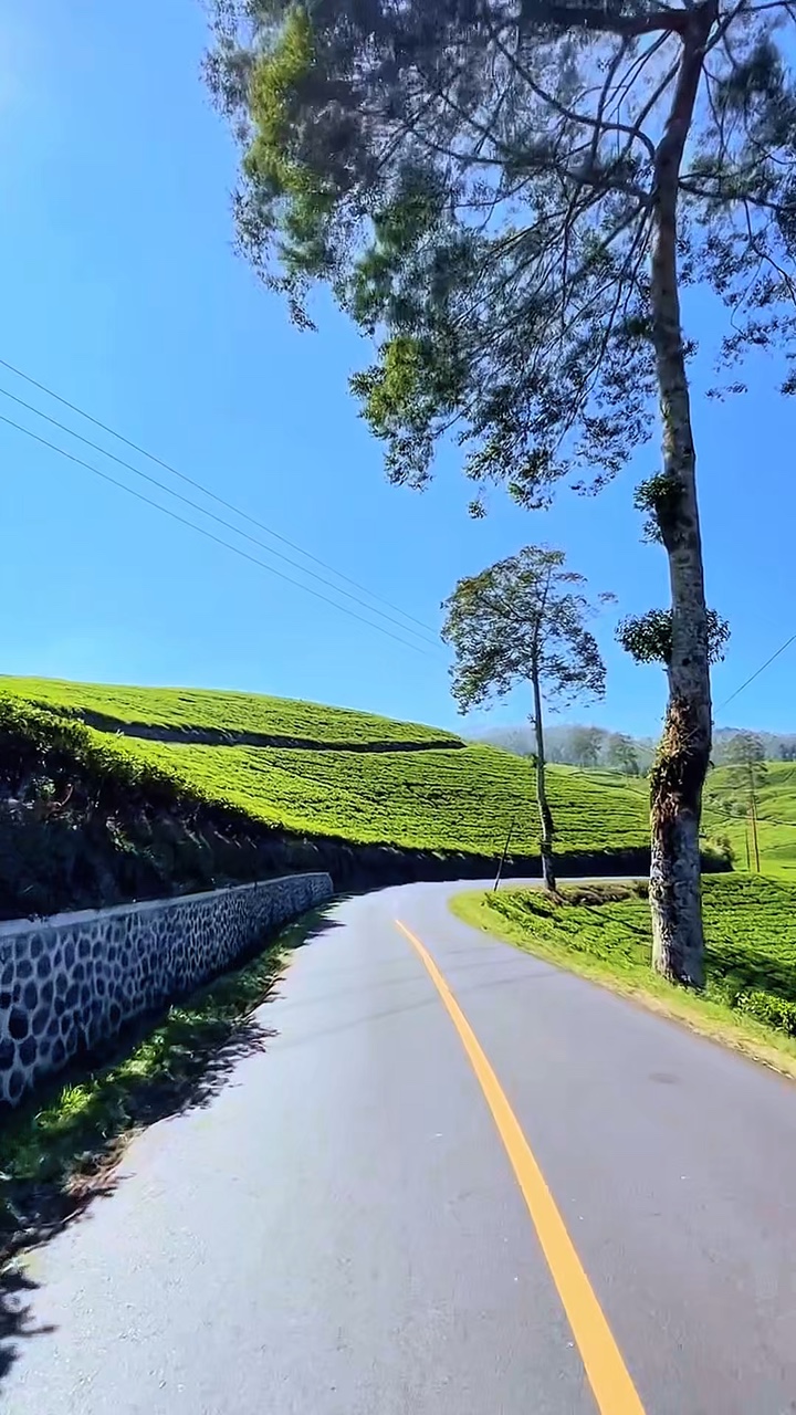 5 video road trip