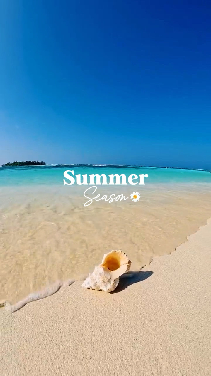 Sommer-Vlog