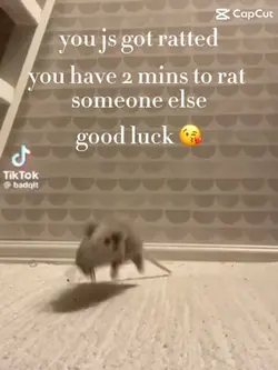 better get goingπ€