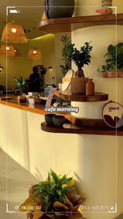 cafe morning 