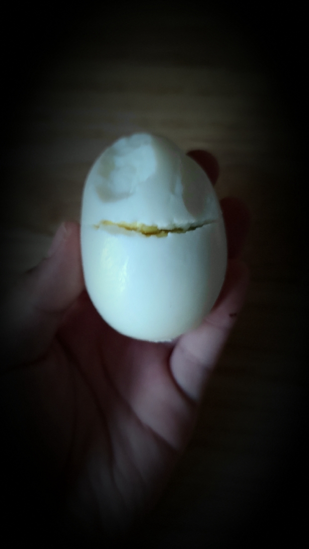 첫 크로마키ㅣㅣㅣㅣ