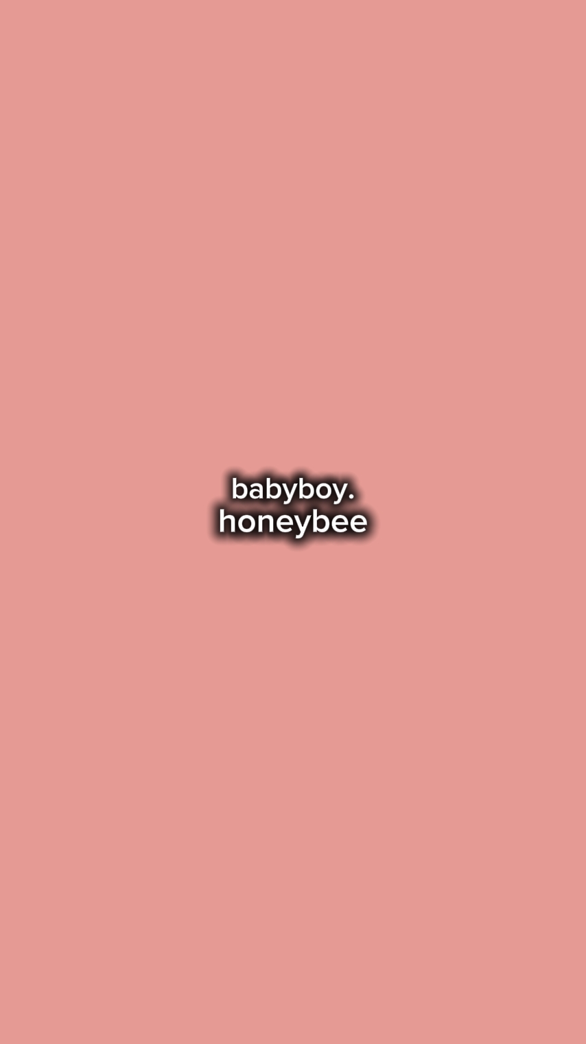honeybee 