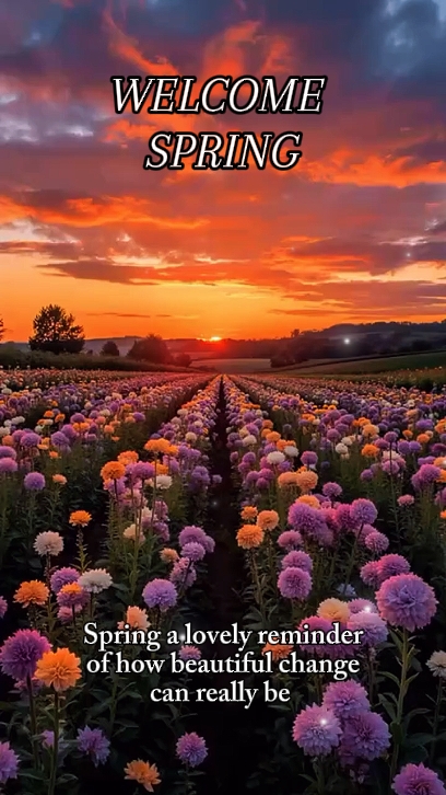 WILLKOMMEN FRÜHLING 2026 