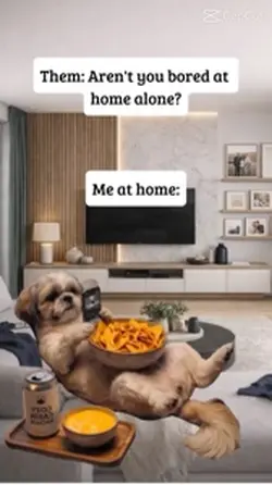 Funny dog