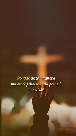 ✨DETALMANERAMEAMO✨