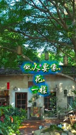 人生感悟
