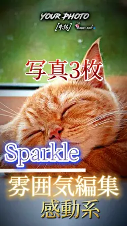Sparkle:感動系:写真3枚✨