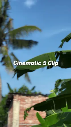 Wide Awake Cinematic