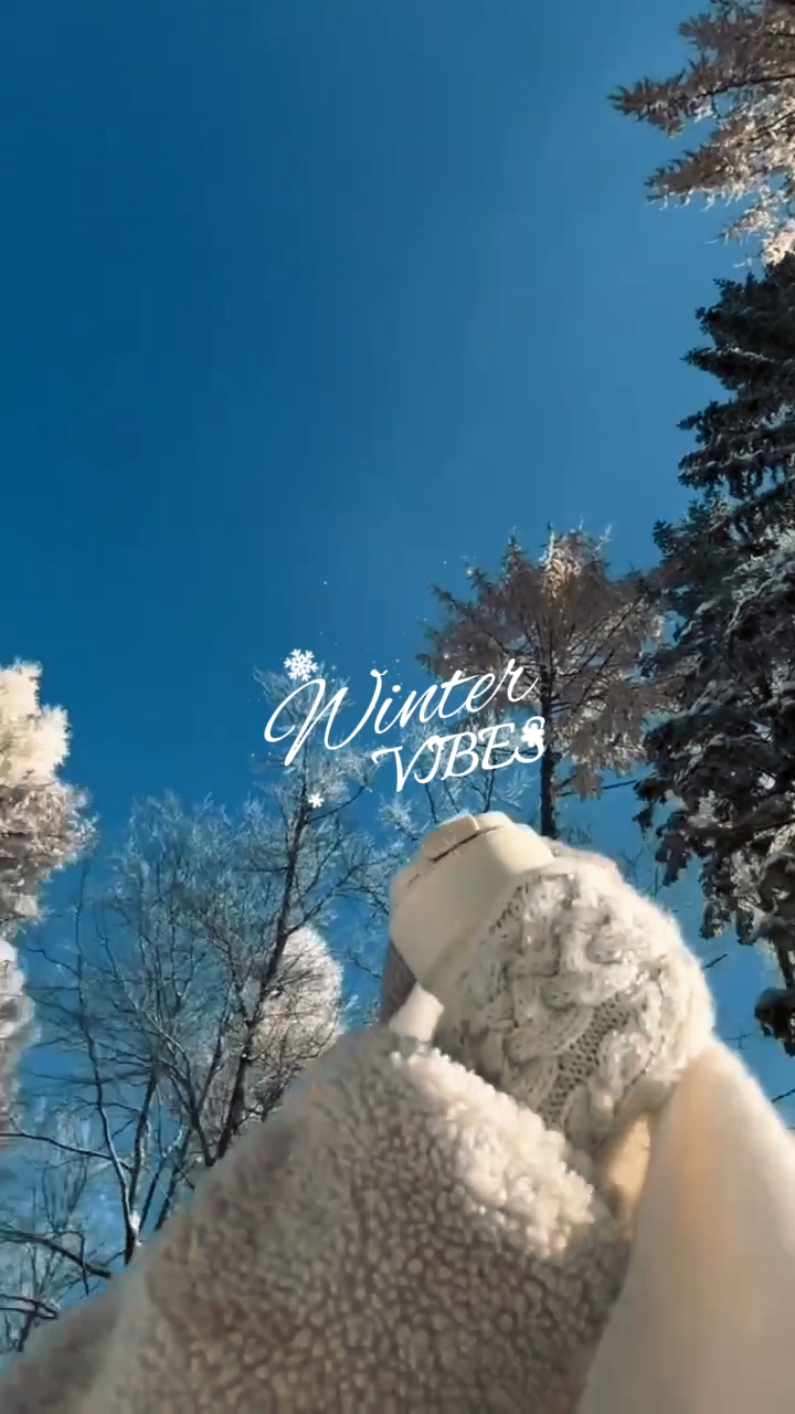 Winter Vibes 