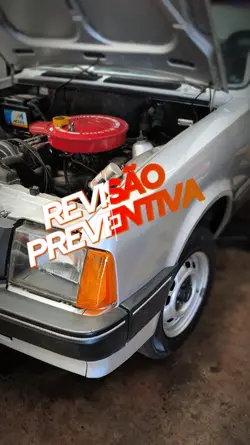 revisão