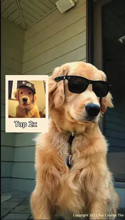 Tap 2x
