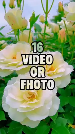 Nature Flower