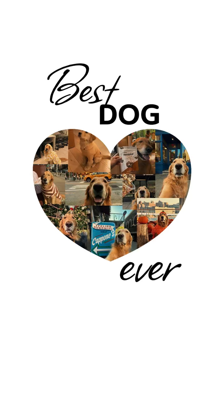 Amo a mi perro