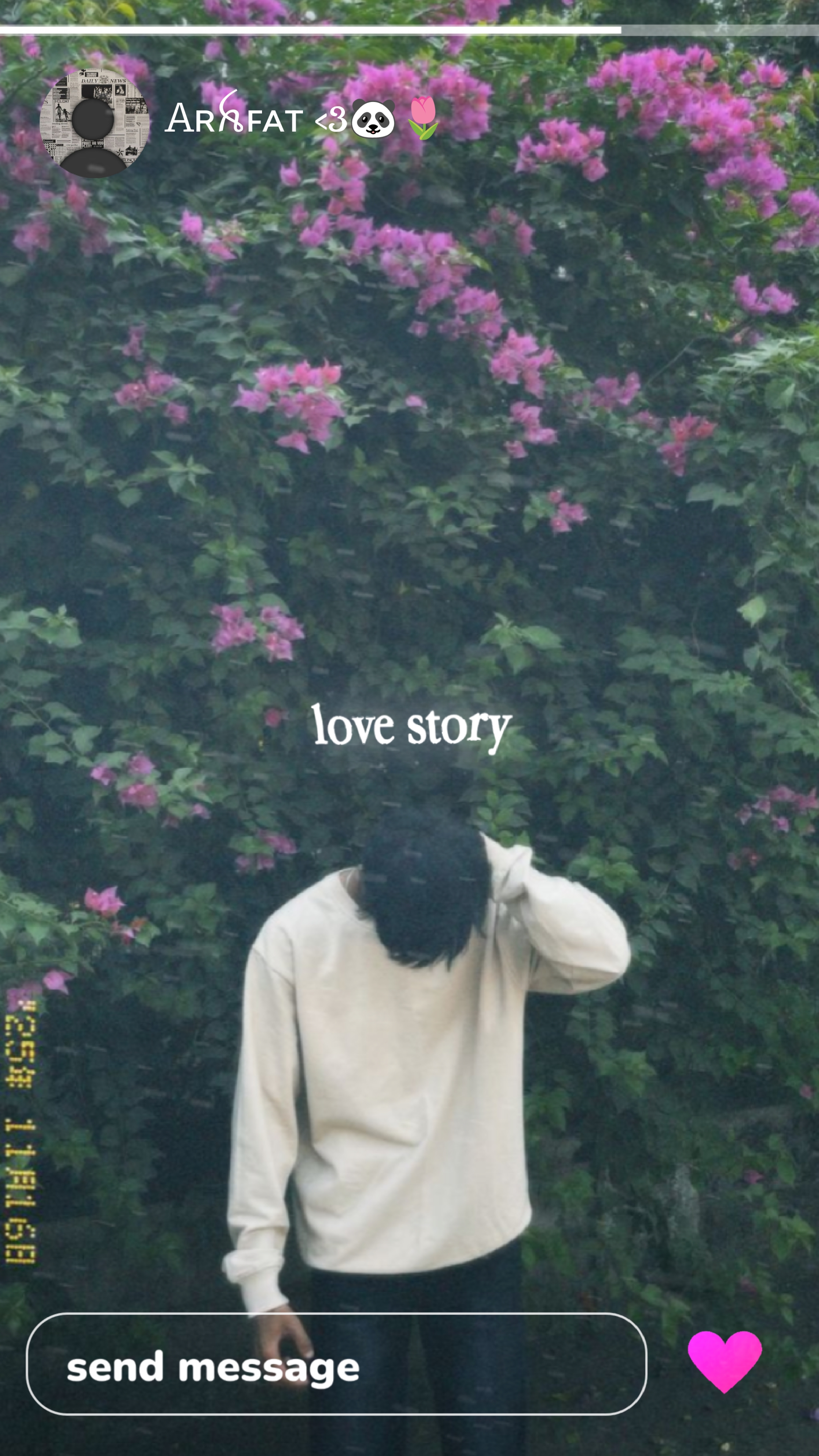 Cover Picture