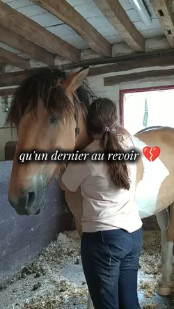 Un dernier au revoir