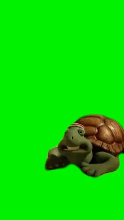 Speechless Turtle 
