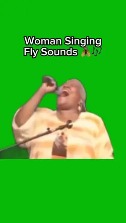 Fly singing 🪰