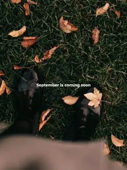September is coming 